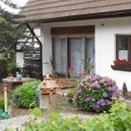 Pension Haus Monika Sasbachwalden Kültér fotó
